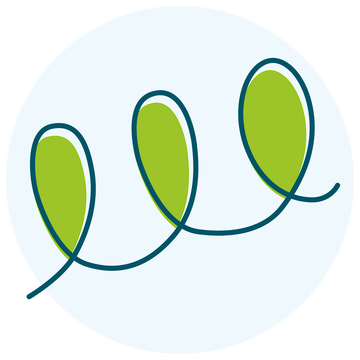 Evolutionary Learning Icon